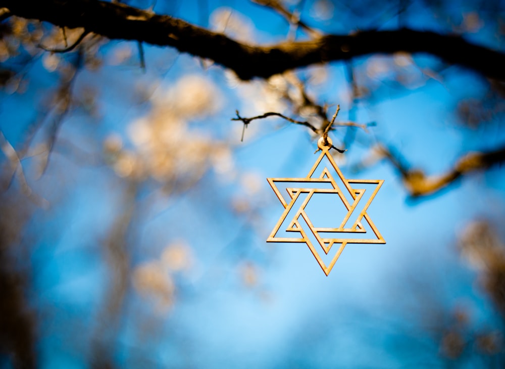 תמונה של קונה יודאיקה מישראל